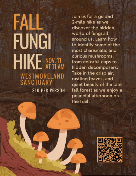 Fall Fungi Hike